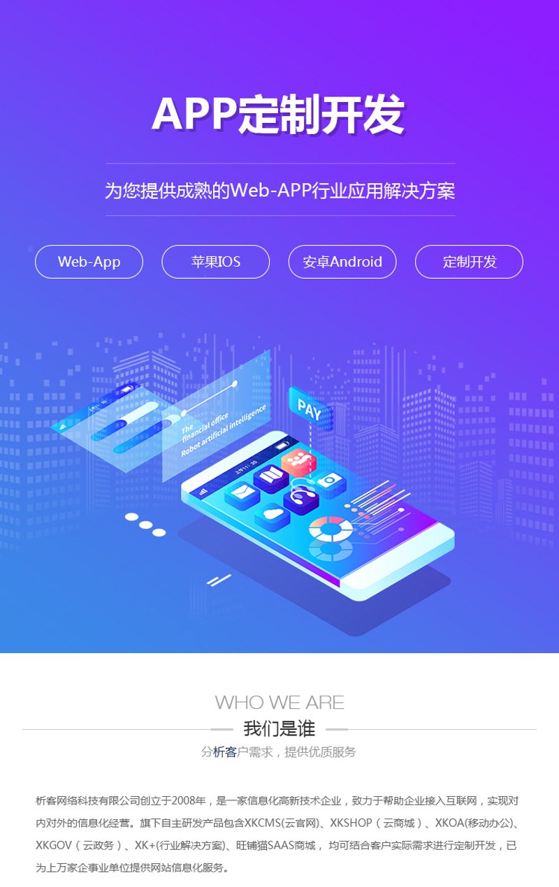 企业管理系统定制——打造高效工作环境的催化剂