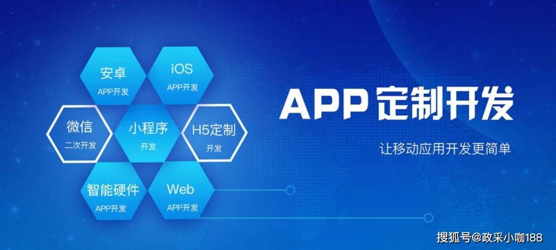 软件外包服务
